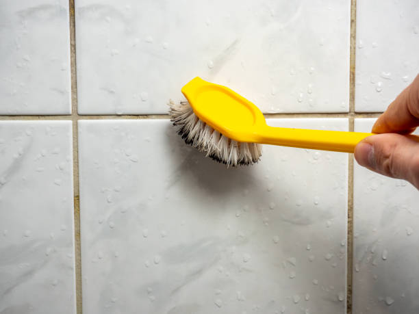 Trusted Mount Hope, WV Mold Removal Experts