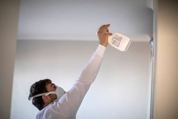 Best Crawl Space Mold Removal  in Mount Hope, WV