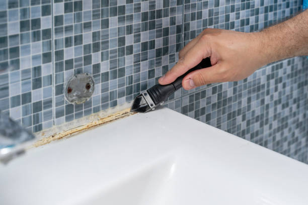 Best Mold Removal Company Near Me  in Mount Hope, WV