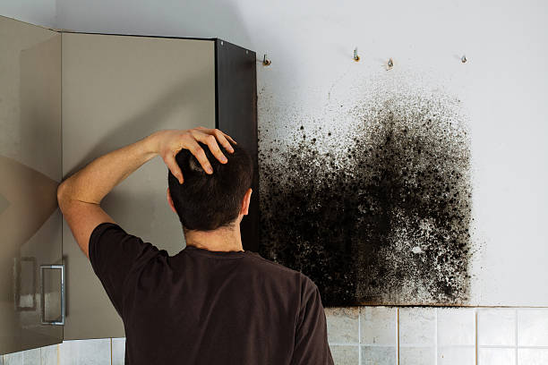 Certified Mold Removal in Mount Hope, WV