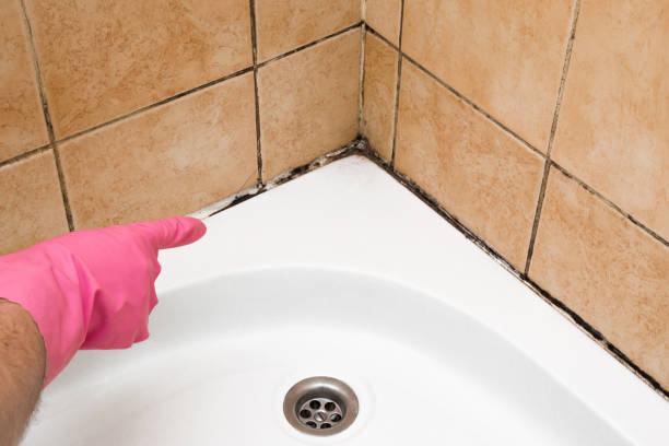 Best Water Damage Restoration  in Mount Hope, WV